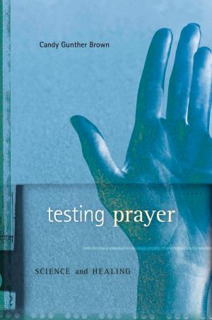 Cover of the book Testing Prayer by Nancy L. Segal