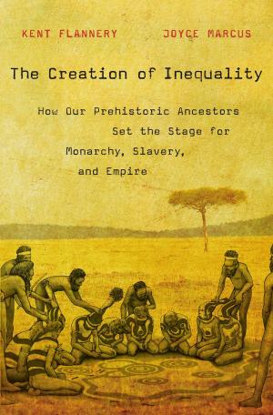 Cover of the book The Creation of Inequality by Eric Hinderaker