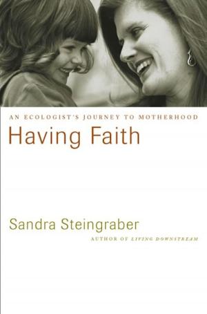 Cover of the book Having Faith by Agnès Martin-Lugand