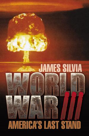 Cover of the book World War III: America's Last Stand by Margaret Bowling