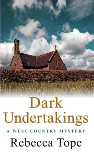 Cover of the book Dark Undertakings by Anna Jacobs