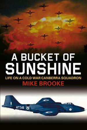 Cover of Bucket of Sunshine