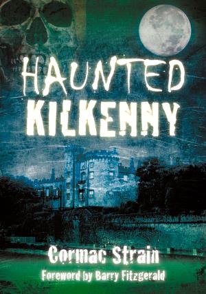 Cover of the book Haunted Kilkenny by Edgar Allan Poe