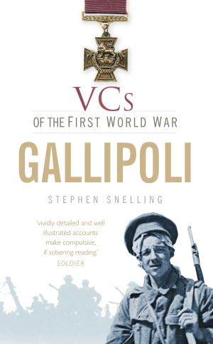 Cover of the book VCs of the First World War: Gallipoli by Paul Bahn, Bill Tidy