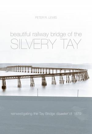 Book cover of Beautiful Railway Bridge of the Silvery Tay