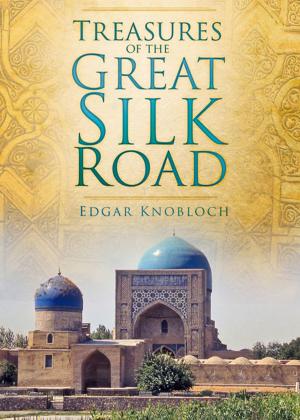 Cover of the book Treasures of the Great Silk Road by Philip Solomon