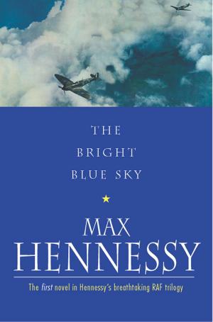 bigCover of the book The Bright Blue Sky by 