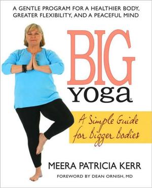 Cover of the book Big Yoga by Jeffrey  Anshel, OD