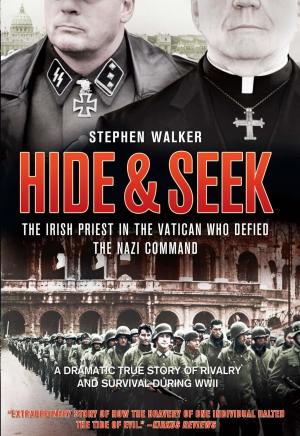 Cover of the book Hide & Seek by Rebecca Lerner