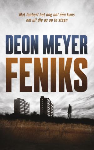 Cover of the book Feniks by Chris Karsten