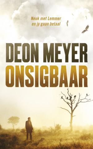 Cover of the book Onsigbaar by Christine le Roux