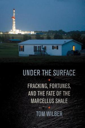 Cover of the book Under the Surface by Valerie Imbruce