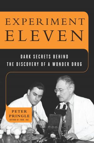 Cover of the book Experiment Eleven by Daniel Stevens