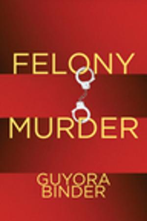 Cover of the book Felony Murder by Bahiyyih Nakhjavani