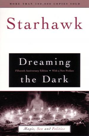 Book cover of Dreaming the Dark