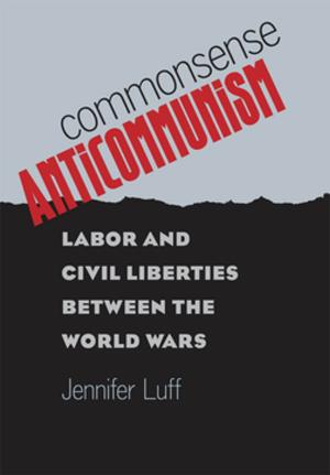 Cover of the book Commonsense Anticommunism by Daniel Winunwe Rivers