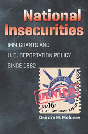 Cover of the book National Insecurities by Gordon B. McKinney
