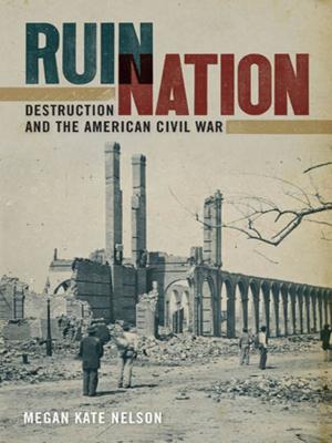 Cover of the book Ruin Nation by Bill Roorbach