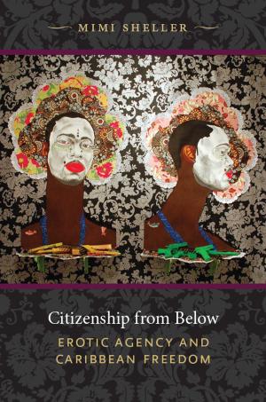 Cover of the book Citizenship from Below by Mark Rifkin