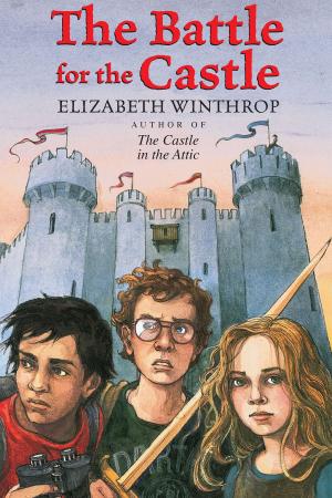Cover of the book The Battle for the Castle by Betsy Byars
