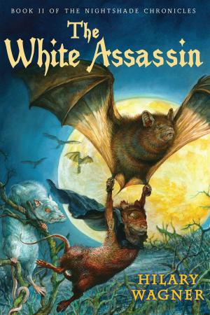 Cover of the book The White Assassin by Betsy Lewin