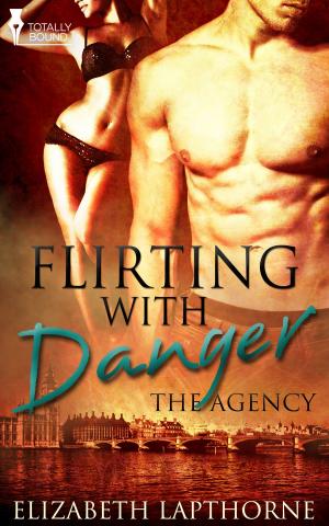Cover of the book Flirting With Danger by Morticia Knight