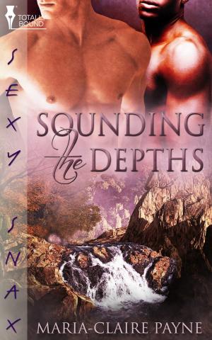 Cover of the book Sounding the Depths by L.M. Somerton