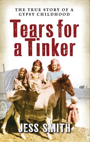 Cover of the book Tears for a Tinker by Meg Bateman, Anne Loughran, Norman MacDonald