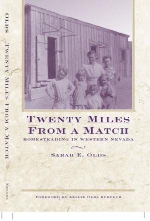 Cover of the book Twenty Miles From A Match by David F. Myrick