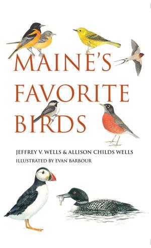 Cover of the book Maine's Favorite Birds by Robert Reilly