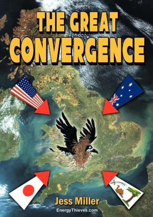 Book cover of The Great Convergence