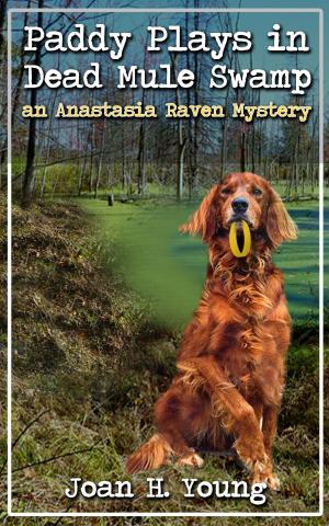 bigCover of the book Paddy Plays in Dead Mule Swamp by 