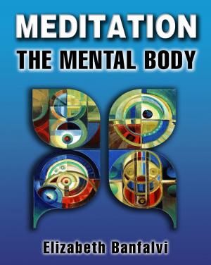 Cover of the book Meditation The Mental Body by Online Trainees