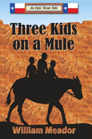 bigCover of the book Three Kids On A Mule by 