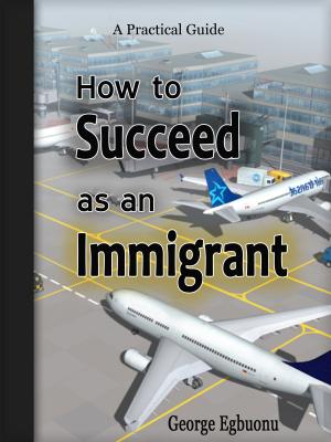 bigCover of the book How to Succeed as an Immigrant by 
