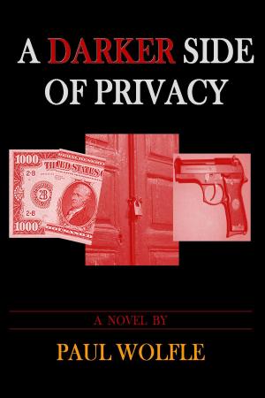 Book cover of A Darker Side Of Privacy