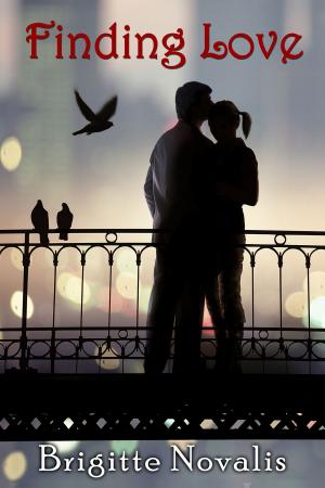 Cover of the book Finding Love by Leah Perrault