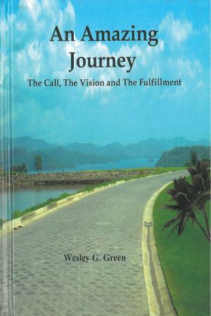 Cover of the book An Amazing Journey by Dennis Huffington