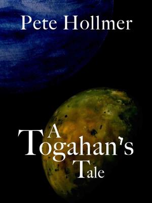 Cover of the book A Togahan's Tale by Gretchen S.B.