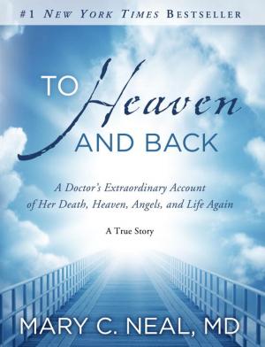 Cover of the book To Heaven and Back by Sigmund Brouwer