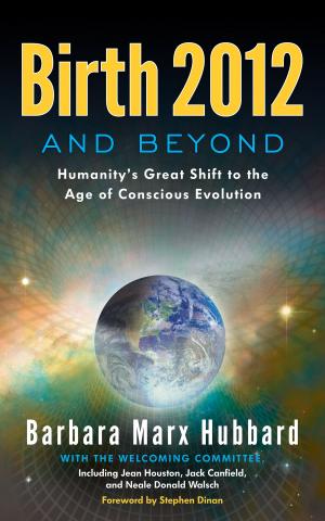 Cover of the book Birth 2012 and Beyond by Anna Fox