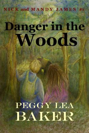 Cover of Danger in the Woods: Nick and Mandy James Series