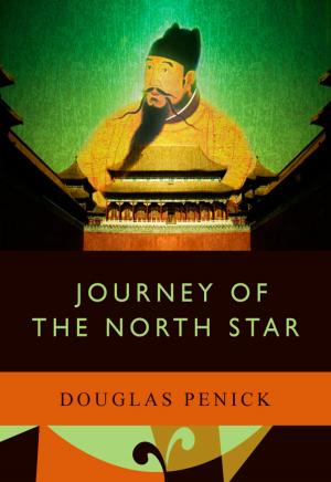 Book cover of Journey of the North Star