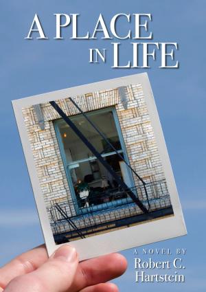 Cover of the book A Place in Life by Elisabeth O'Toole