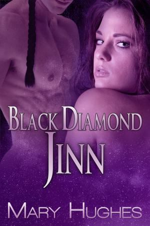 Book cover of Black Diamond Jinn (A Hot SF/Fantasy Novella)