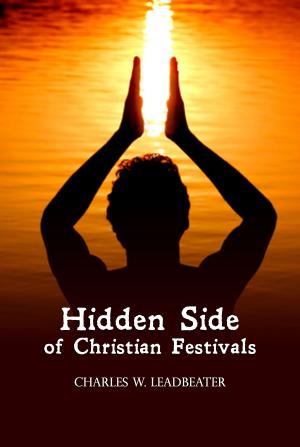 Book cover of Hidden Side of Christian Festivals