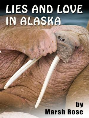 Book cover of Lies And Love In Alaska