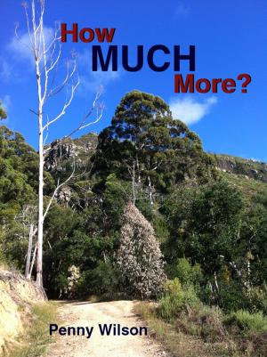 bigCover of the book How Much More? by 