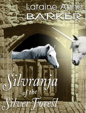 Book cover of Silvranja of the Silver Forest