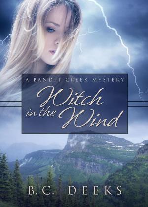 Book cover of Witch in the Wind
